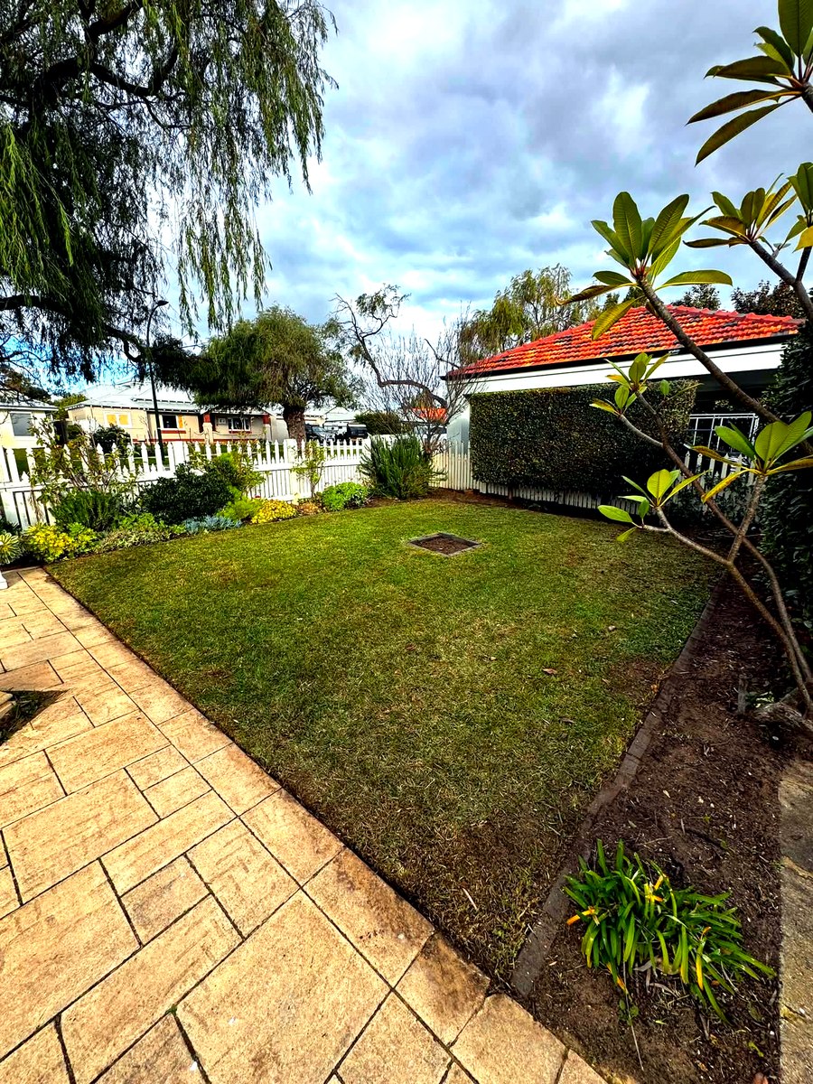 Lawn after mowing, neat trimmed edges and tidy grass