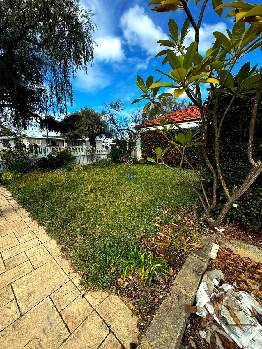 Lawn before mowing, overgrown grass and scattered debris