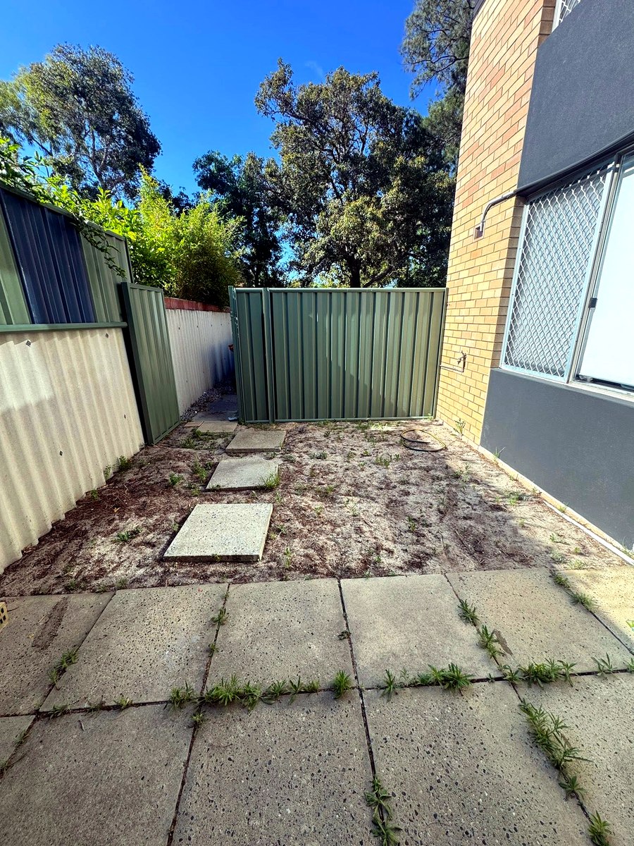 Side yard before cleanup, bare sandy ground with weeds