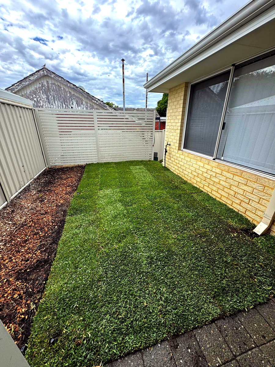 Yard after turf installation, lush green lawn